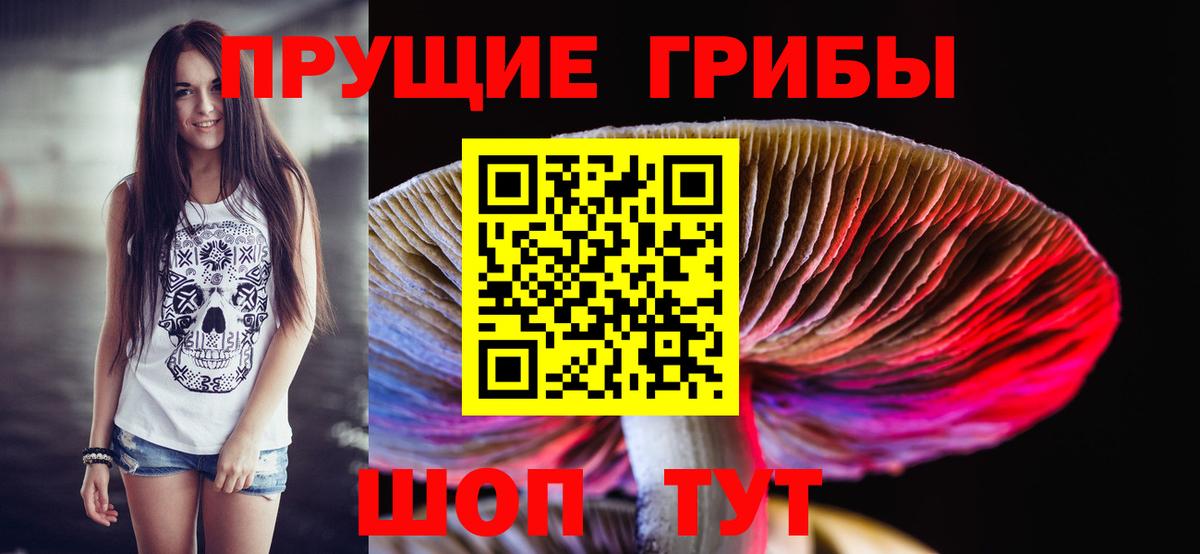 Галлюциногенные грибы Magic Shrooms  что такое   Славгород  Вход с VPN 