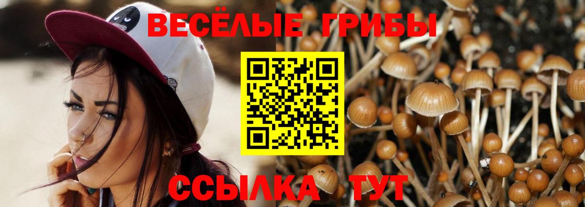 А ПВП СОЛЬ кристаллы  Вход с VPN  МАРИХУАНА  Cocaine  Славгород  ГАШ  МЕФ кристаллы 