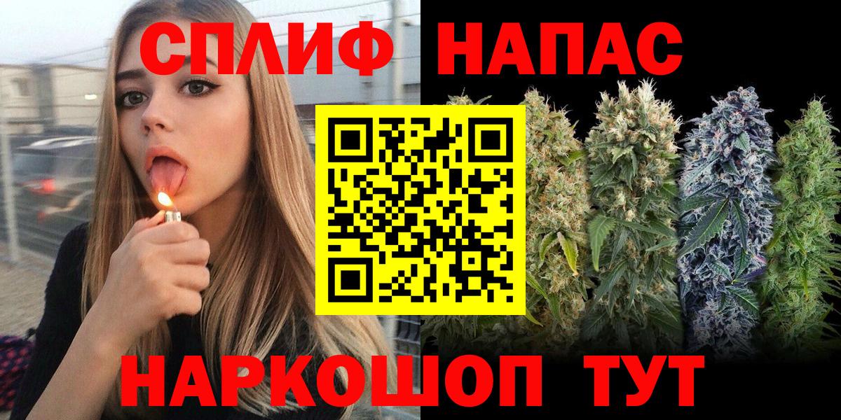 МАРИХУАНА гибрид Славгород